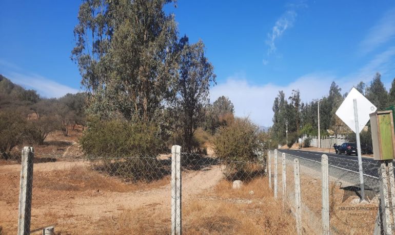 Propiedad n5