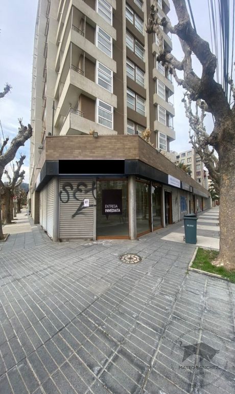 Propiedad n1
