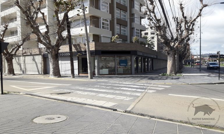 Propiedad n3